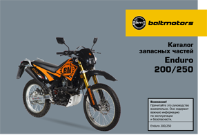 Мотоцикл Enduro / Motard 250 DD